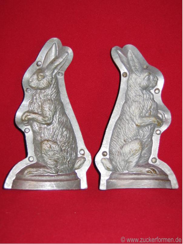 Hase aufrecht