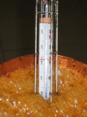whrend der Kochzeit Thermometer nicht entfernen